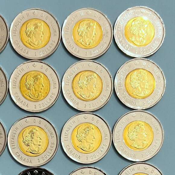 Canada 2018 '100th Anniversary Armistice 1918-2018' Roll of 25 x $2 Toonies! - Picture 9 of 16